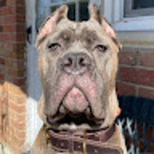 Meet your Posher, Janet